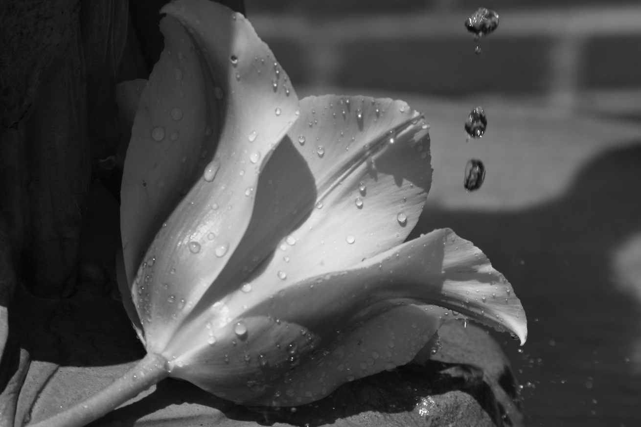 2011 05 01 IMG 29949